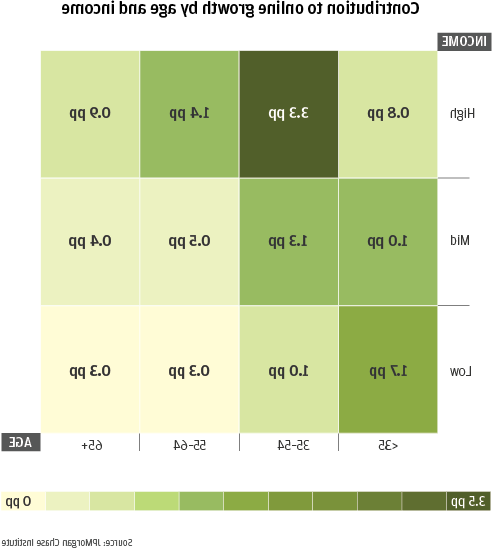 Infographic describes about Contribution to online growth by age and income